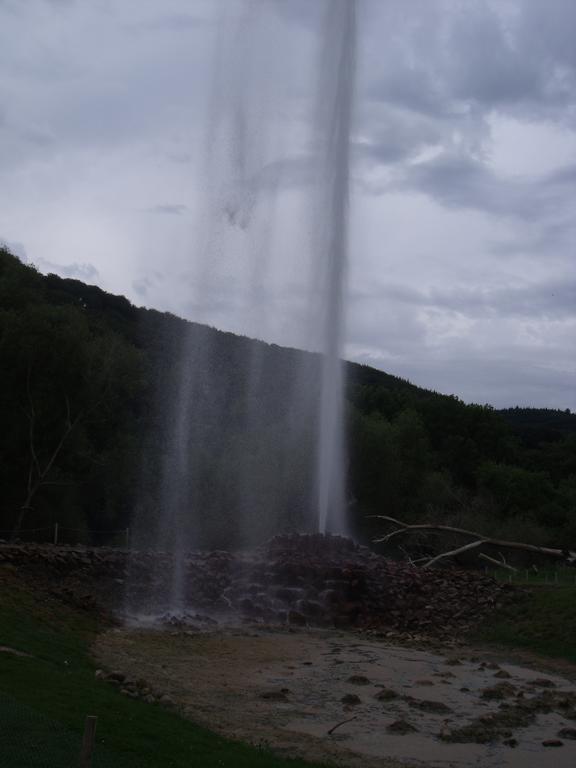 Ferienwohnung Am Waldrand Bad Breisig Cameră foto